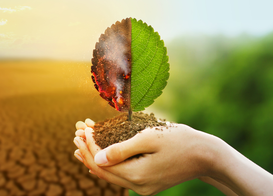 ¿Cómo afecta el cambio climático a nuestra salud?