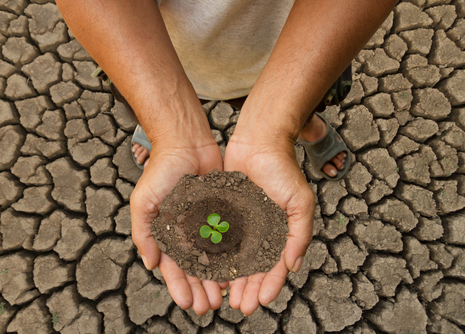 ¿Cómo disminuir los efectos del cambio climático en nuestra salud?